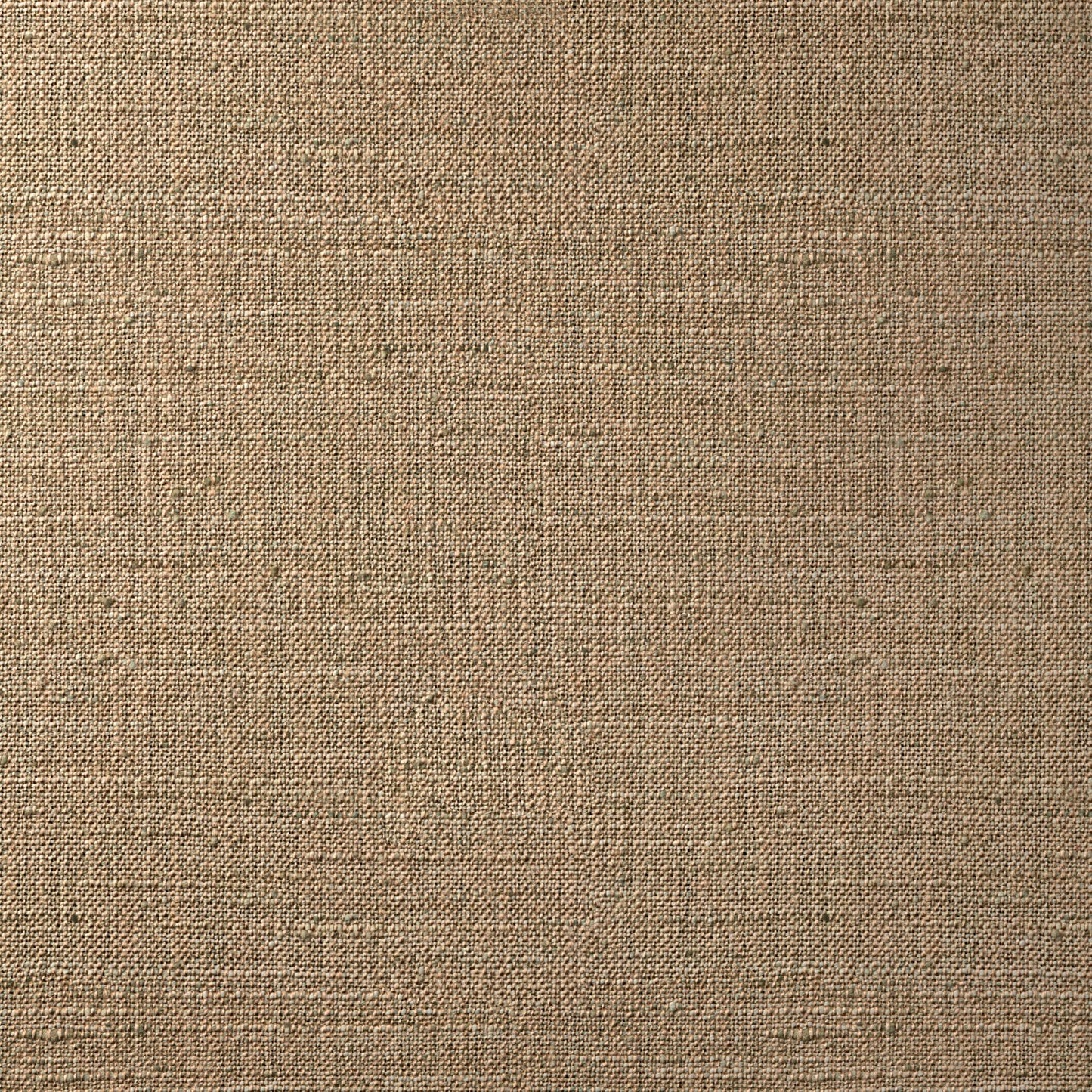 Meraki