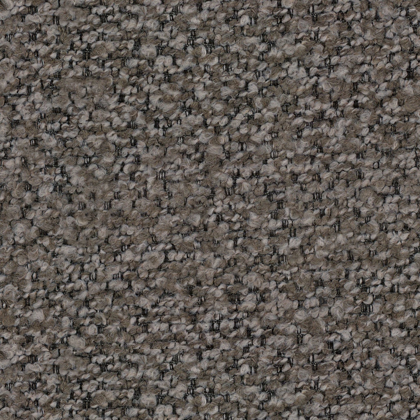 Pittura
