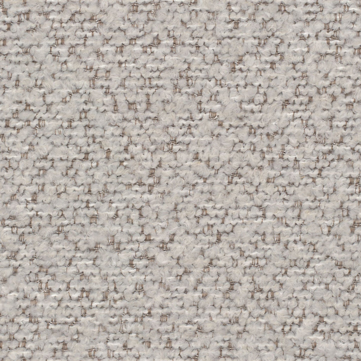 Pittura
