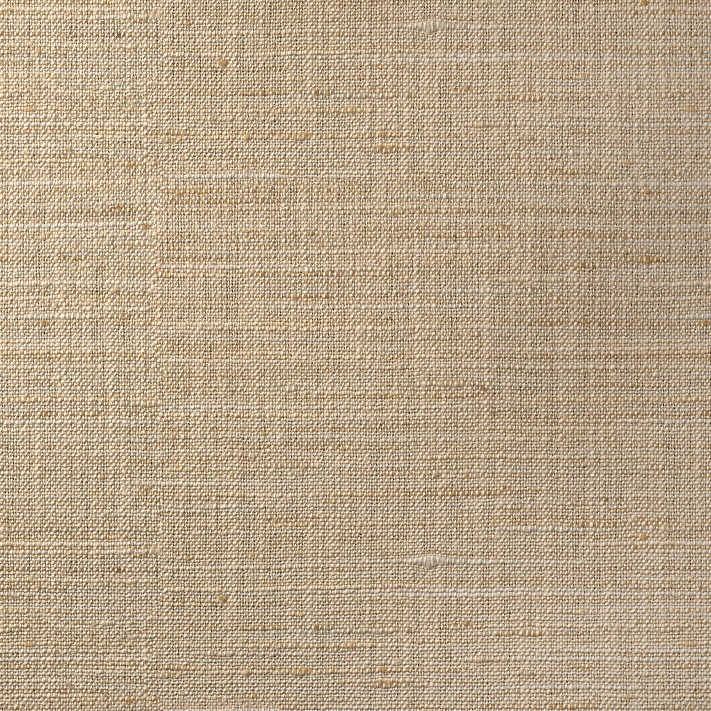 Meraki