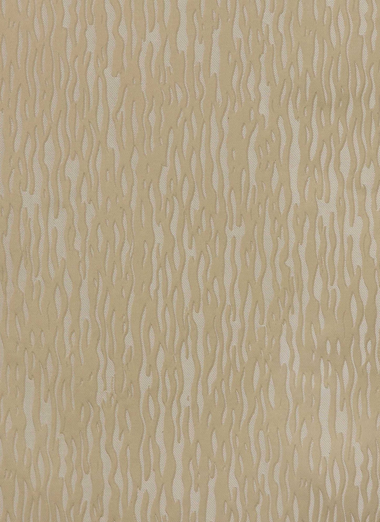 Bellini