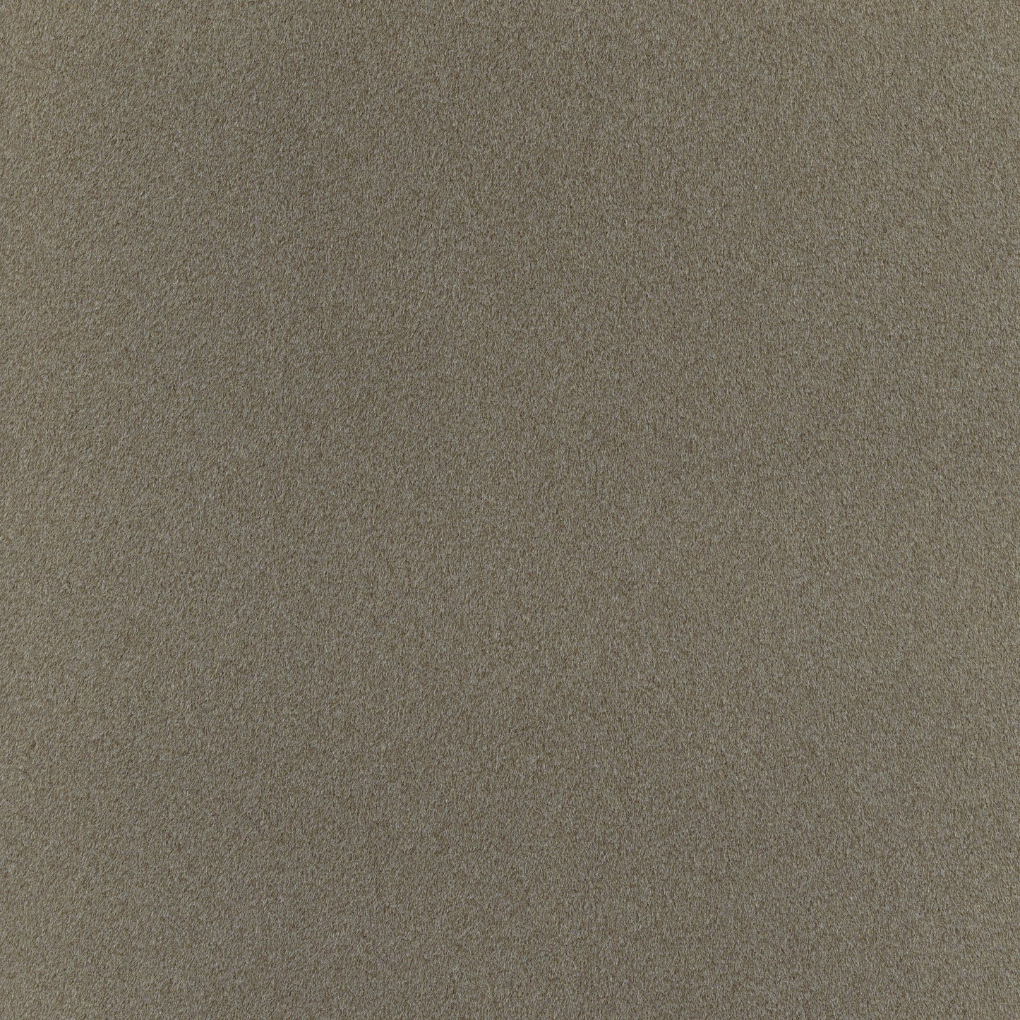 Elan