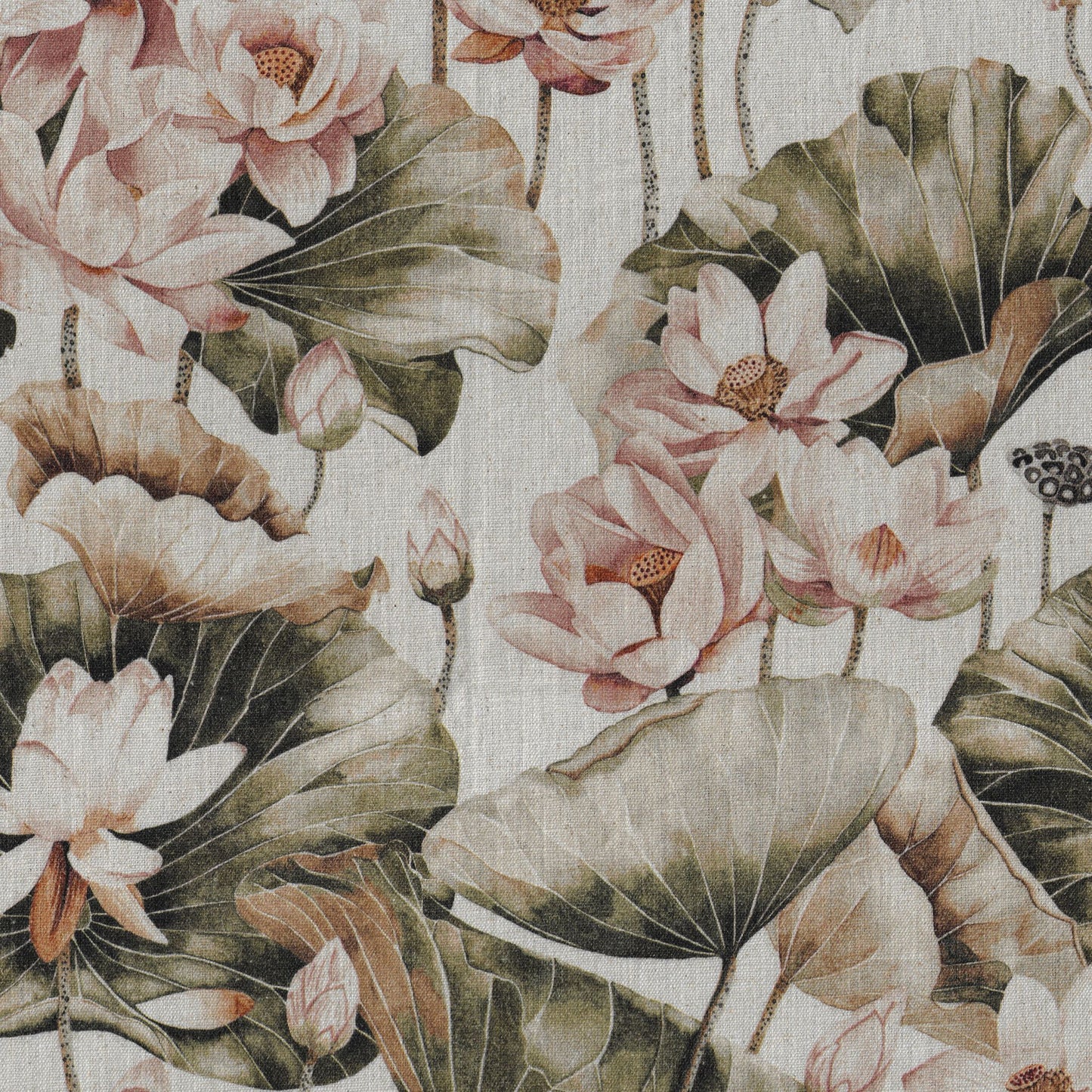 Lotus