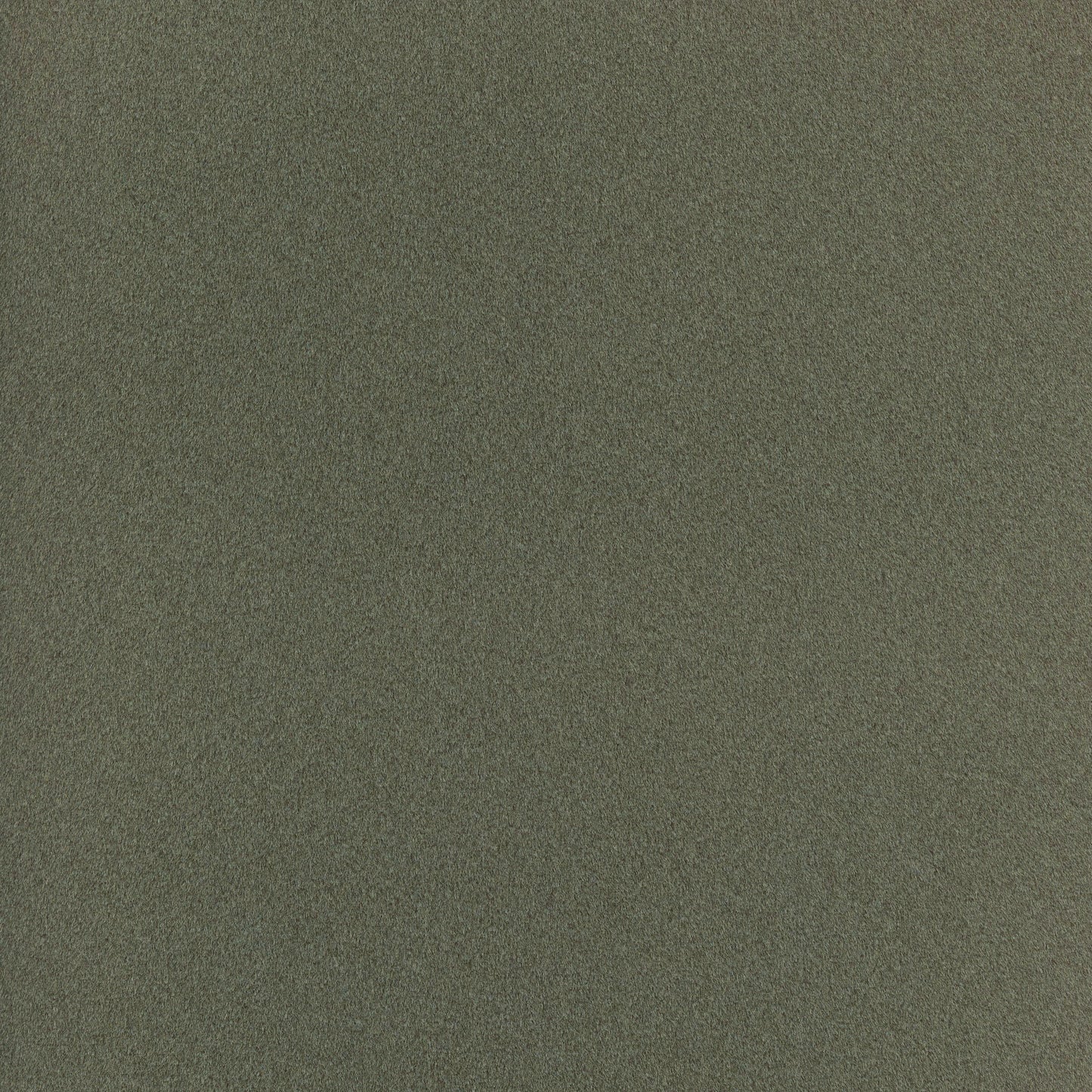 Elan