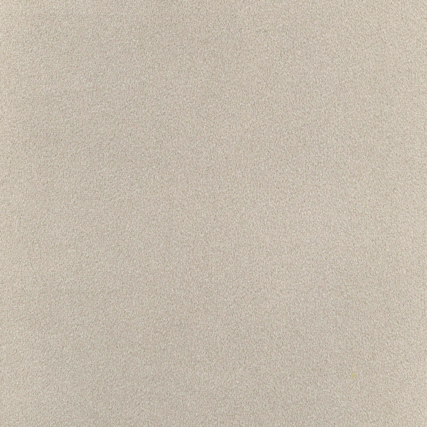 Elan