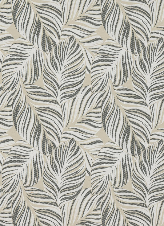 Motif